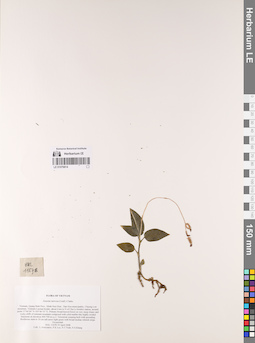 LE 01076814