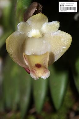 LE 01088704