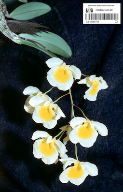 LE 01088708