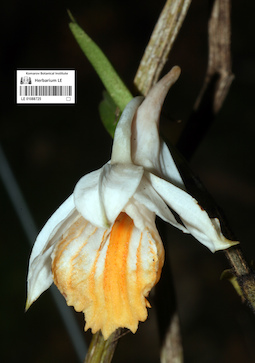 LE 01088725
