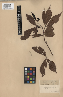LE 00003457