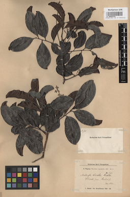 LE 00003576
