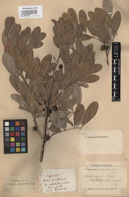 LE 00003580