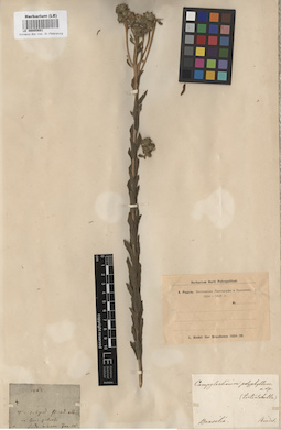 LE 00005691