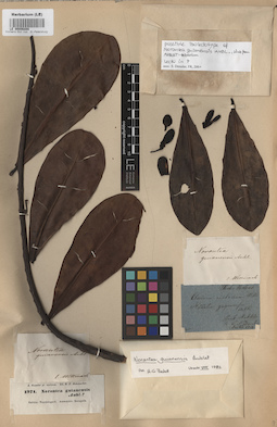 LE 00006898