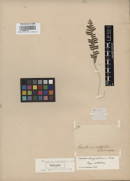 LE 00008748