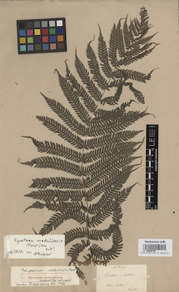 LE 00008760