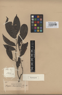 LE 00012507
