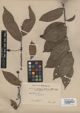 LE 00012560