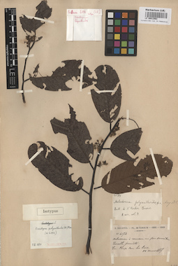 LE 00012563