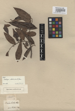 LE 00012564