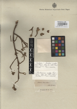 LE 00012575