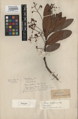 LE 00012585