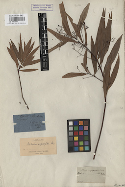 LE 00012631