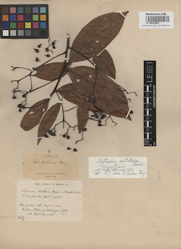 LE 00012635