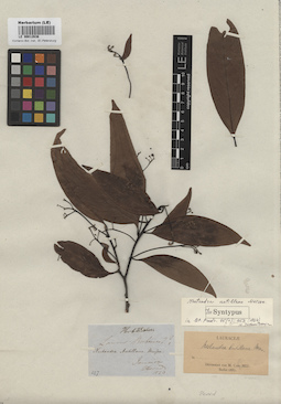 LE 00012636