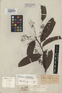 LE 00012644