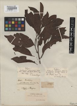 LE 00012645