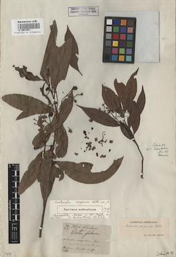 LE 00012651