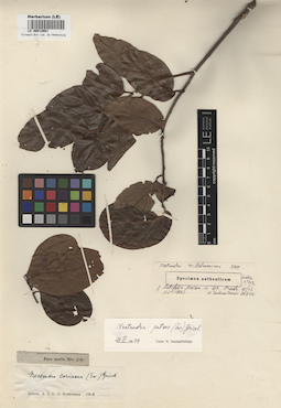 LE 00012661