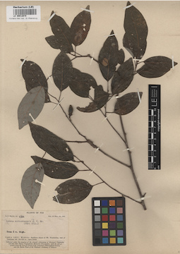 LE 00012670