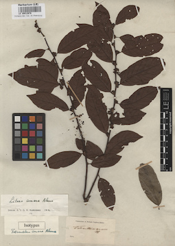 LE 00012676