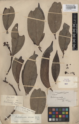 LE 00012680