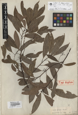 LE 00012687