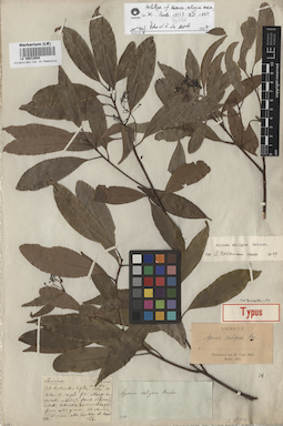 LE 00012688