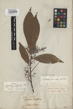 LE 00012701