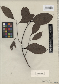 LE 00012708