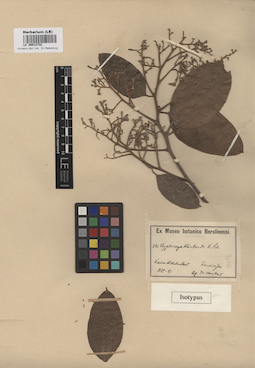 LE 00012732