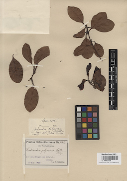 LE 00012735