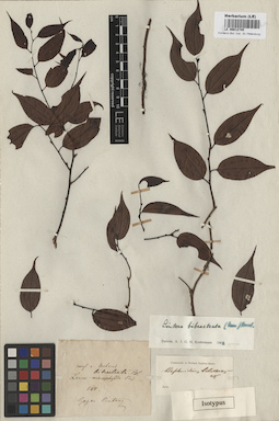LE 00012745