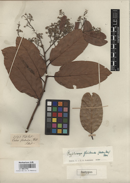 LE 00012752