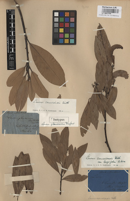LE 00012755
