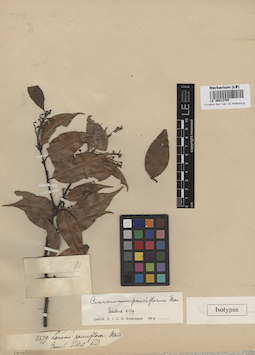 LE 00012765