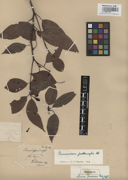 LE 00012767