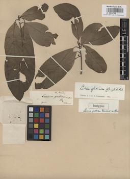 LE 00012769