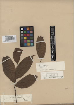 LE 00012774