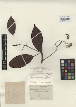 LE 00012777