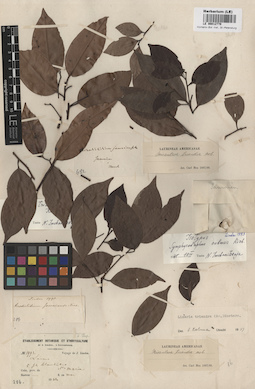 LE 00012779