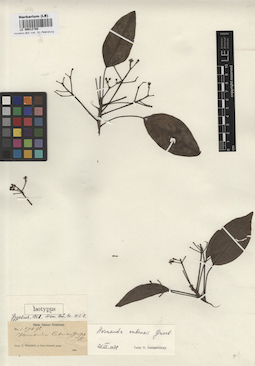 LE 00012788