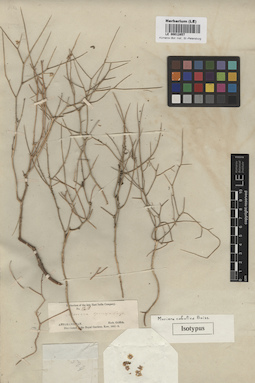 LE 00012857