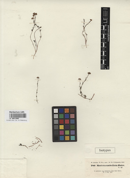 LE 00012860
