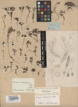 LE 00012880