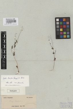 LE 00012931