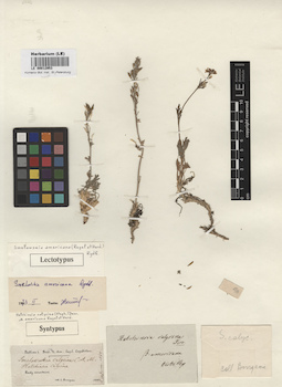 LE 00012953