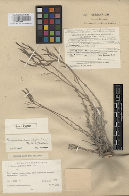 LE 00012996