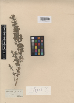 LE 00013125